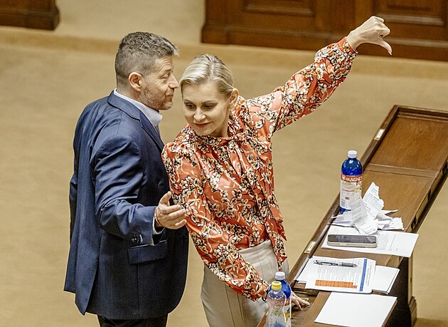Ta��na Mal� a Patrik Nacher