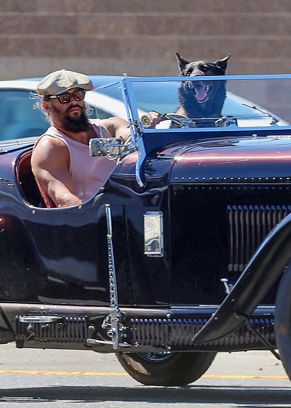 Jason Momoa