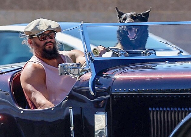 Jason Momoa