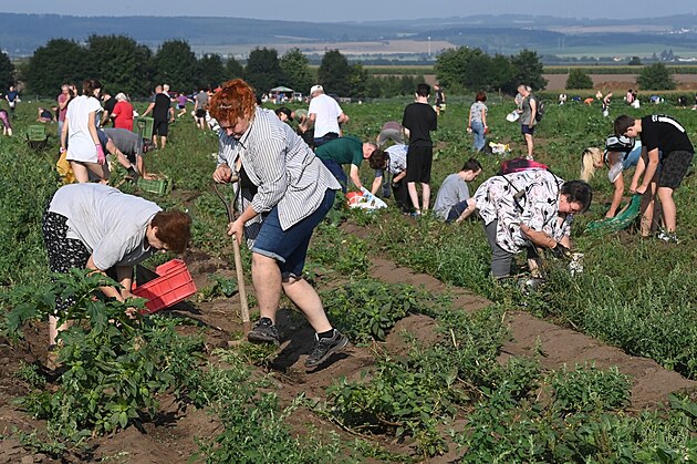 Na samosb�ru si sice m�knete, ale za u�et�en� pen�ze to rozhodn� stoj�