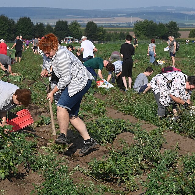 Na samosb�ru si sice m�knete, ale za u�et�en� pen�ze to rozhodn� stoj�