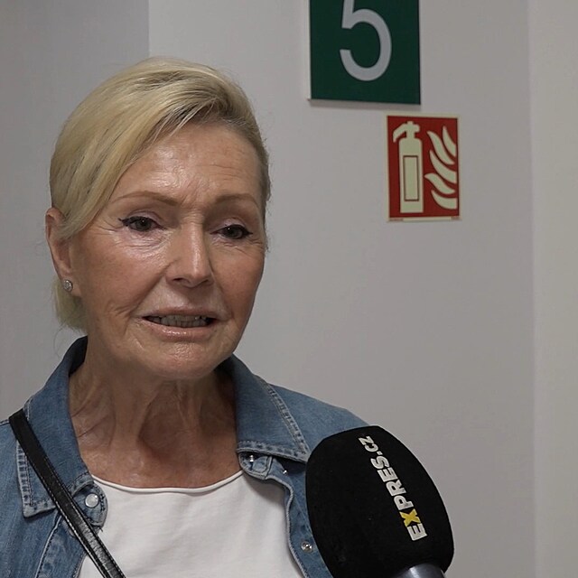 Helena Vondr��kov� vypov�dala u soudu, kter� �e��  d�dictv� po Kamile Mortimer.