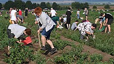 Na samosb�ru si sice máknete, ale za u�et�ené peníze to rozhodn� stojí
