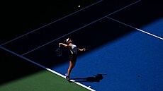 Jedna p�kná momentka z osmifinále US Open 2026