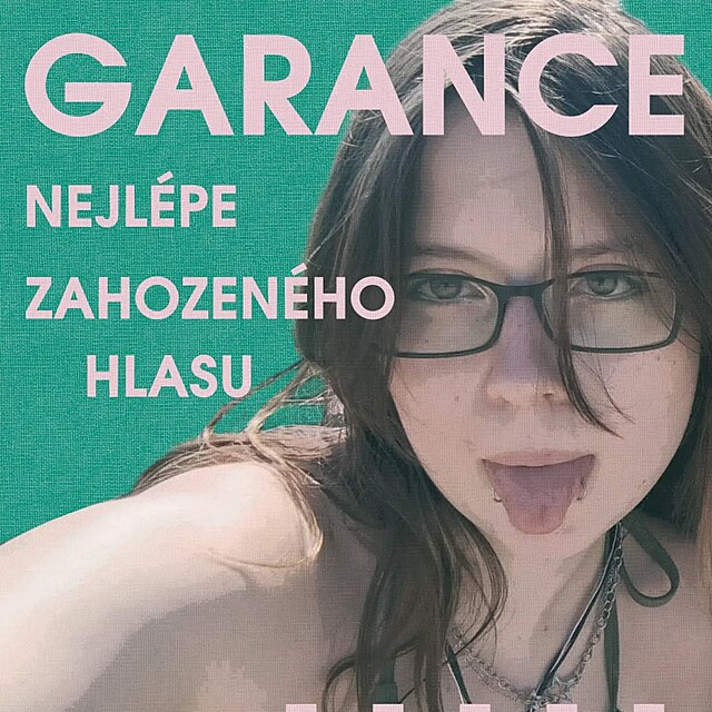 Pokud nev�te, co s hlasem, �esk� strana asoci�l� slibuje, �e u nich je v� hlas p�edem ztracen�