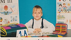 Psal se rok 1996.