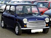 Rover Mini