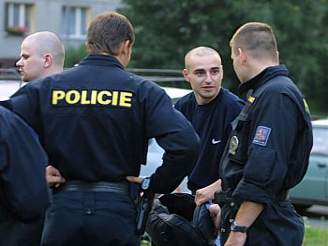 Policisté a skini