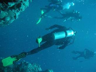 eský potáp se se skupinou krajan potápl u ostrova Nusa Lembongan nedaleko Bali.