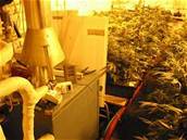 Laborato na pstování marihuany