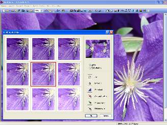 Cim Jednoduse Vytvorit Fotogalerii Na Internetu Programy Zdarma Idnes Cz