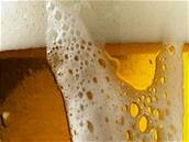 Rakovnické pivo by se na ruském trhu mlo objevit v beznu.