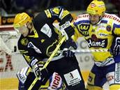 Litvínov - Zlín: M. Hamrlík brání �alouna