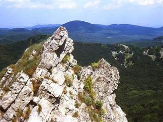 Vrchol Vysoké (754 m)