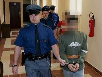 Soudy za vradu v Olenici poslaly do vzení i syna Vladimíra Gini.