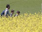 Pochod Praha - Pr�ice