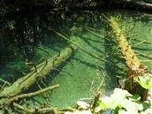 Plitvická jezera - Jedná se o spadlé stromy v jezee obalené kamenem (vápencem).