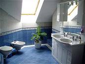 Podkrovní koupelna v modrém kabát