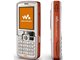 Sony Ericsson W800i