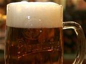 Navrhovaná vyí da by zdraila pllitr piva asi o padesátník.
