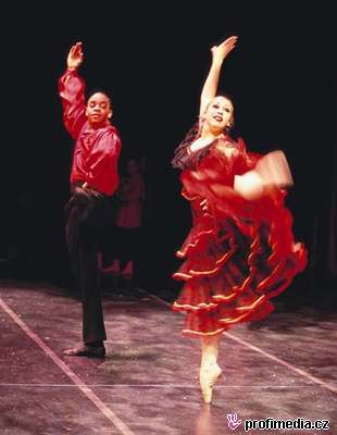 Flamenco - ilustraní foto