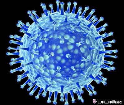Virus ptačí chřipky