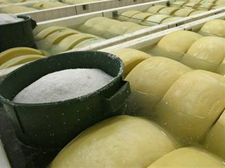 Pi nákupu sýr si dejte pozor: Na trhu jsou i náhraky sýr. Ilustraní foto