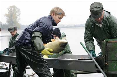 V sobotu 22. íjna zahájili rybái výlov rybníka v Tovaov
