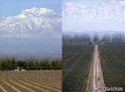 Vinice v oblasti Mendoza leí na úpatí velehor And