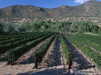 Mexické vinae suuje sucho a teplo a stahují se proto do hor.