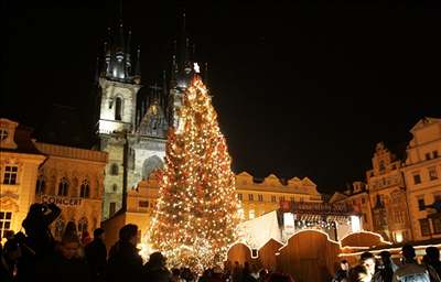 Letoní vánoní smrk dorazil do Prahy z Krkono. Na Staromstském námstí je od 22. listopadu.