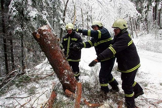 Stromy padají na silnici pod tíhou sněhu, hasiči je odklízeli během jediného dne už třikrát. Ilustrační foto
