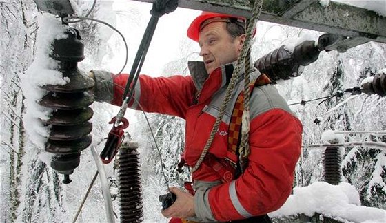 Spolenost EZ vysvtluje, e za poruchy v Bezové na Sokolovsku mohou stromy popadané pod tíhou snhu do drát vedení. Ilustraní foto