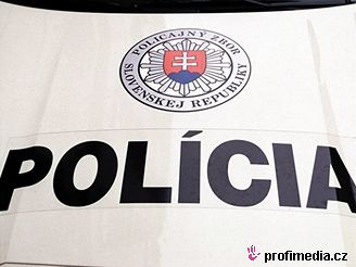 Sloventí policisté registrují rostoucí poet pípad propagace faismu. Ilustraní foto.
