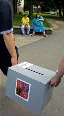 Volební komise na cest za volii pomohli dopadnout prchající chovance. Ilustraní foto.