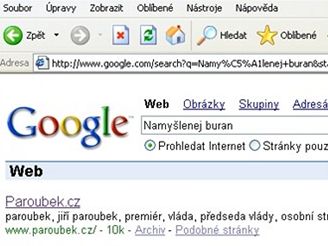 Google bomba na web premiéra Paroubka