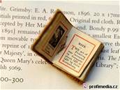 íst román s displeje mobilního telefonu bude asi podobné, jako íst takovouto miniaturní knihu...
