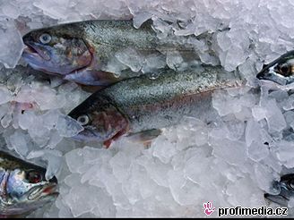Na obalech mrazených ryb musí být uvedeno mnoství pidané vody.