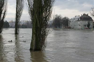 Tetí stupe panuje na celém slovenském úseku Moravy. Ilustraní foto.