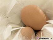 Kupovat neoznaená vejce u silnice je vdy riziko, íká expert.