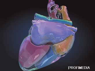 Lékai zkoumali stavbu a funkce srdce deset let. Nakonec se jim podailo vyrobit srdení tká