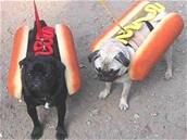 Hot dog