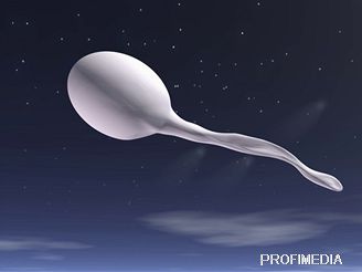 Spermie - ilustran foto
