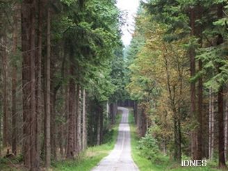 Dchodkyn vyly z lesa jinde, ne ekal jejich autobus. Ilustraní foto