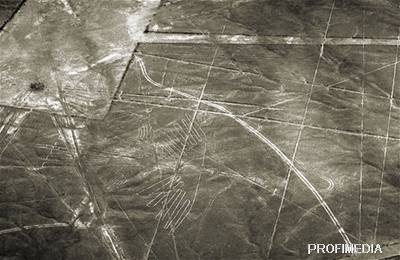 Obrazce na peruánské planin Nazca