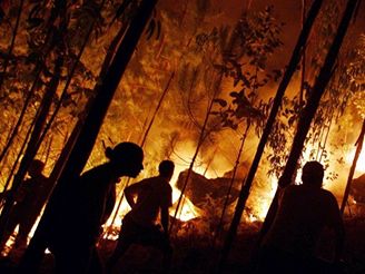 Ve panlsku bojují s poáry lesa. Ilustraní foto.