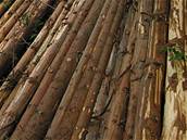 esku hrozí dalí arbitrá, tentokrát kvli lesnickým zakázkám. Pokud stát nezaplatí firm CE Wood 2,5 miliardy korun, poene R k soudu.