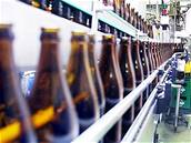 Vbec nejvíce piva uvaili v letoním prvním pololetí ve Velkých Popovicích
