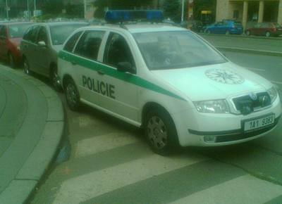 Policie v akci