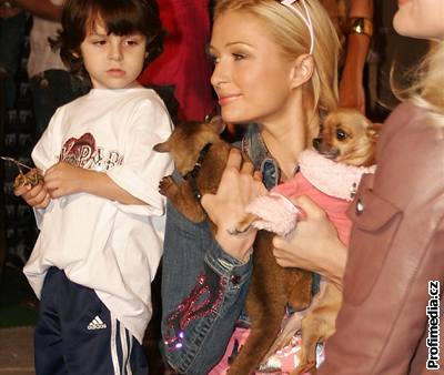 Paris Hiltonová se svými miláky - medvídkem Kynkau a ivavou (v rovém obleku)